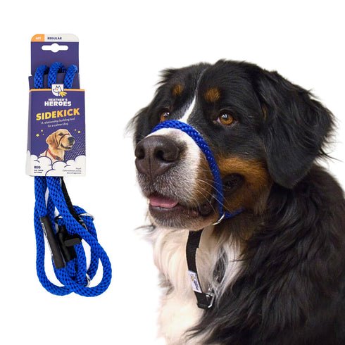 Heather's Heroes Sidekick Regular 3/8" x 6' Blue Dog Leash poudrefeed.com