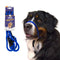 Heather's Heroes Sidekick Regular 3/8" x 6' Blue Dog Leash poudrefeed.com