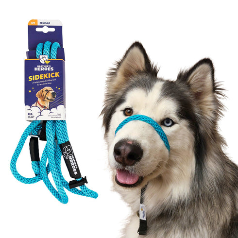 Heather's Heroes Sidekick Regular 3/8" x 6' Turquoise Dog Leash poudrefeed.com
