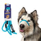 Heather's Heroes Sidekick Regular 3/8" x 6' Turquoise Dog Leash poudrefeed.com