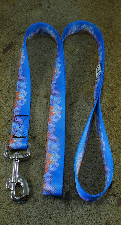 MTN Straps Wasatch Front Dog Leash 6'