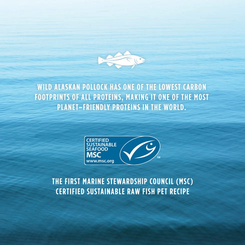 Instinct Pet Food Raw Longevity Frozen Bites Pollock Dog Food 4lb - Poudre Pet and Feed Supply