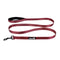 Alcott Adventure Dog Leash Small Bright - Poudre Pet and Feed Supply
