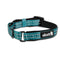 Alcott Martingale Collar Small Blue - Poudre Pet and Feed Supply