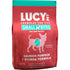 Lucy Pet Salmon Pumpkin & Quinoa Small Bites Dry Dog Food 4.5lb - Poudre Pet & Feed Supply
