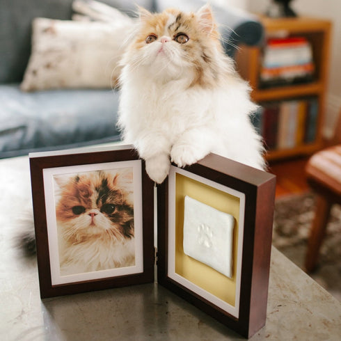 Pearhead Clay Pawprints Desk Frame Espresso - Poudre Pet & Feed Supply 2