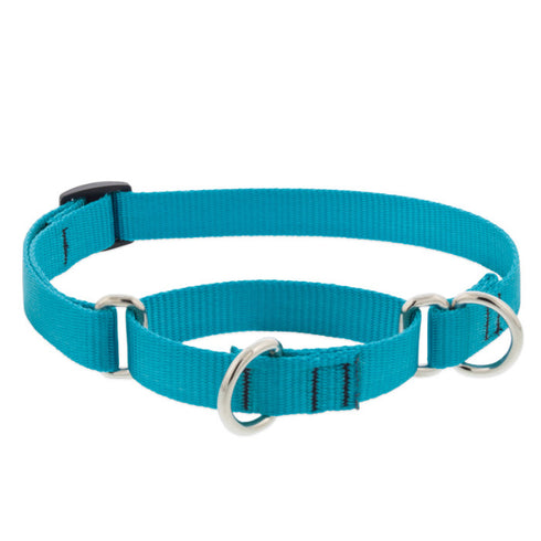 Lupine Martingale Collar for Training 3/4"x14-20" Aqua - Poudre Pet & Feed Supply