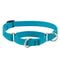 Lupine Martingale Collar for Training 3/4"x14-20" Aqua - Poudre Pet & Feed Supply