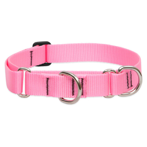 Lupine Martingale Collar for Training 1"x19-27" Pink - Poudre Pet & Feed Supply