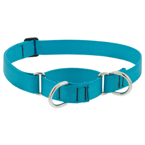 Lupine Martingale Collar for Training 1"x19-27" Aqua - Poudre Pet & Feed Supply