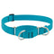 Lupine Martingale Collar for Training 1"x19-27" Aqua - Poudre Pet & Feed Supply