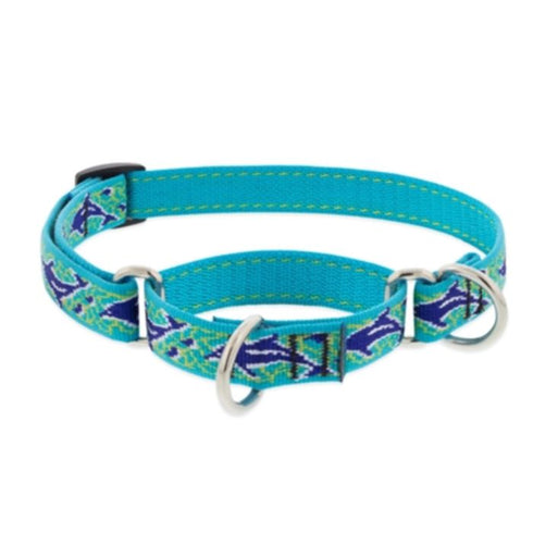 Lupine Martingale Dog Collar 3/4" x 10" -14" Dolphin Bay - Poudre Pet & Feed Supply