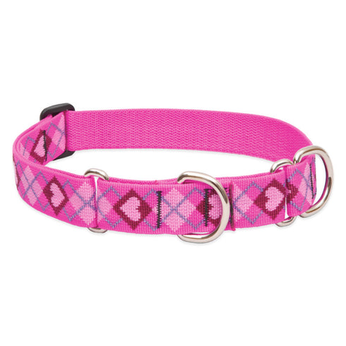 Lupine Martingale Collar for Training 1"x19-27" Puppy Love - Poudre Pet & Feed Supply