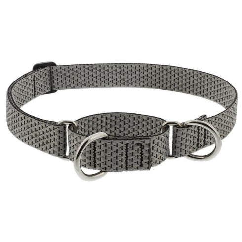 Lupine Eco Martingale Dog Collar for Training 1" x 15"-22" Granite - Poudre Pet & Feed Supply