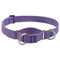 Lupine Eco Martingale Dog Collar 1"x19-27" Lilac - Poudre Pet & Feed Supply