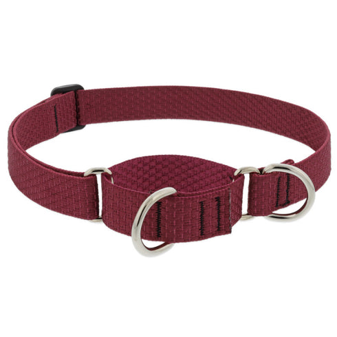 Lupine Eco Martingale Dog Collar 1"x19-27" Berry - Poudre Pet & Feed Supply