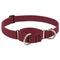 Lupine Eco Martingale Dog Collar 1"x19-27" Berry - Poudre Pet & Feed Supply