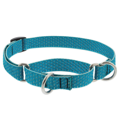 Lupine Eco Martingale Collar for Training 3/4" x 14"-20" Tropical Sea - Poudre Pet & Feed Supply