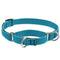 Lupine Eco Martingale Collar for Training 3/4" x 14"-20" Tropical Sea - Poudre Pet & Feed Supply