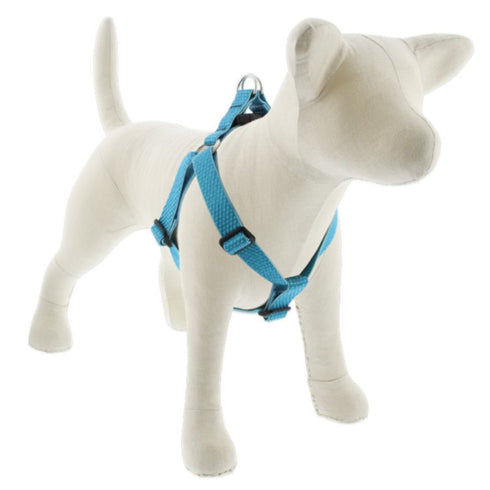 Lupine Eco Step In Dog Harness 3/4" x 15"-21" Tropical Sea - Poudre Pet & Feed Supply