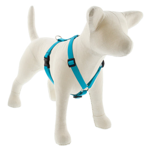 Lupine Basic Solids Roman Dog Harness 3/4" x 12"-20" Aqua - Poudre Pet & Feed Supply