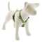 LUPINE Eco Roman Dog Harness, Moss, 1x24-38" - Poudre Pet and Feed Supply