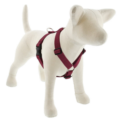 LUPINE Eco Roman Dog Harness, Berry, 1x24-38" - Poudre Pet and Feed Supply
