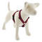LUPINE Eco Roman Dog Harness, Berry, 1x24-38" - Poudre Pet and Feed Supply