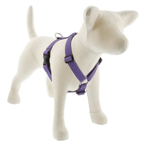 LUPINE LUPINE Eco Roman Dog Harness, Lilac, 1x24-38" - Poudre Pet and Feed Supply