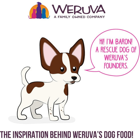 Weruva B.F.F Fun Size Meals Wham Bam Chicken Ham Wet Dog Food 2.75oz - Poudre Pet and Feed Supply