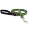Lupine Dog Leash 3/4" Wide x 4' Length Brookies - Poudre Pet and Feed Supply