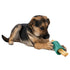 West Paw Funnl L Green Dog Treat Toy - Poudre Pet and Feed Supply