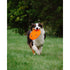 Ngage Flyer Orange Dog Toy Poudre Pet & Feed Supply 2
