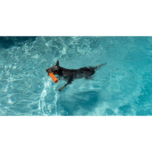 Ngage Hydro Bumper Orange Dog Toy Poudre Pet & Feed Supply 3