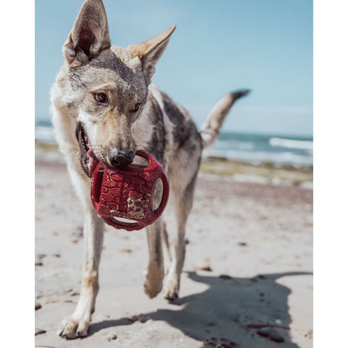 Ngage Hydro Handler Jumbo Red Dog Toy Poudre Pet & Feed Supply 2