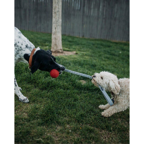 Ngage Bungee Handler Orange Dog Toy Poudre Pet & Feed Supply 2