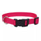 Coastal Adjustable Dog Collar with Plastic Buckle 5/8" x 10" - 14" Pink Flamingo poudrefeed.com