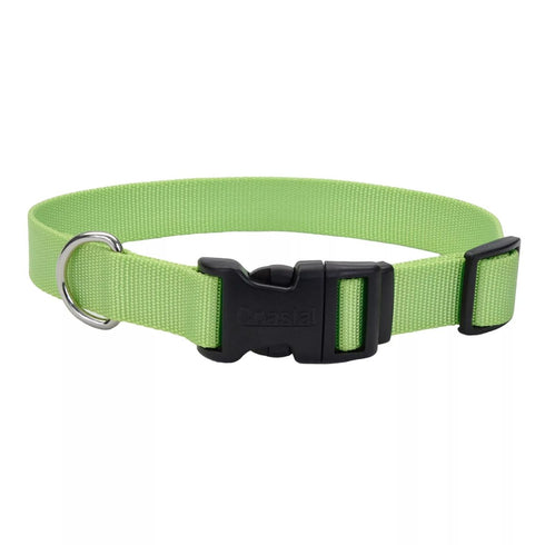 Coastal Adjustable Dog Collar with Plastic Buckle 5/8" x 10" - 14" Lime poudrefeed.com