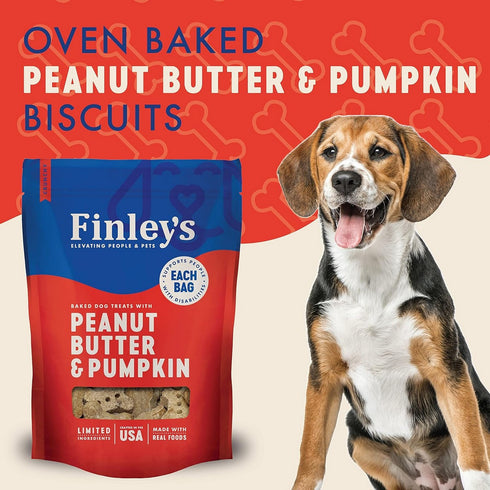 Finley's Peanut Butter Pumpkin Crunchy Biscuits Dog Treats 12oz - Poudre Pet and Feed Supply