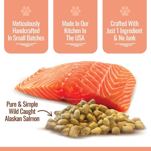 Smart Cookie Freeze Dried Salmon Bites Dog Treats 2oz - Poudre Pet and Feed Supply