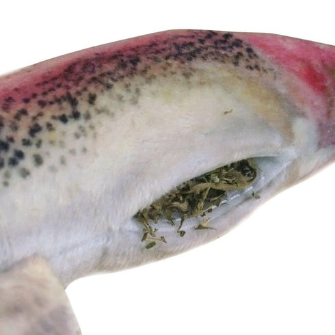Meowijuana Get Smoked Refillable Rainbow Trout Cat Toy poudrefeed.com 3