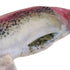 Meowijuana Get Smoked Refillable Rainbow Trout Cat Toy poudrefeed.com 3