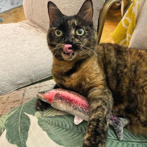 Meowijuana Get Smoked Refillable Rainbow Trout Cat Toy poudrefeed.com 6