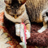 Meowijuana Get Smoked Refillable Rainbow Trout Cat Toy poudrefeed.com 7