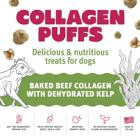 Icelandic+ Beef Collagen Puffs with Kelp Treats for Small Dogs 1.3oz poudrefeed.com