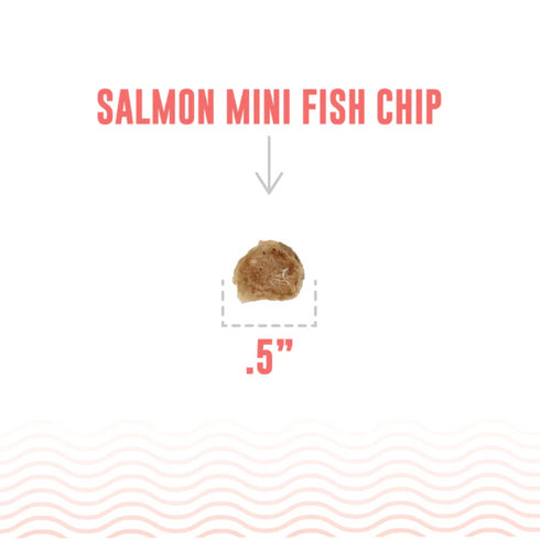 Icelandic+ Salmon Mini Fish Chips Dog Treats 9oz poudrefeed.com