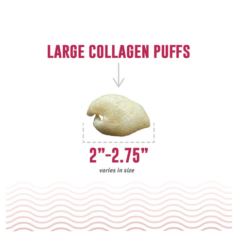 Icelandic+ Beef Collagen Puffs with Kelp Treats for Dogs 2.5oz poudrefeed.com