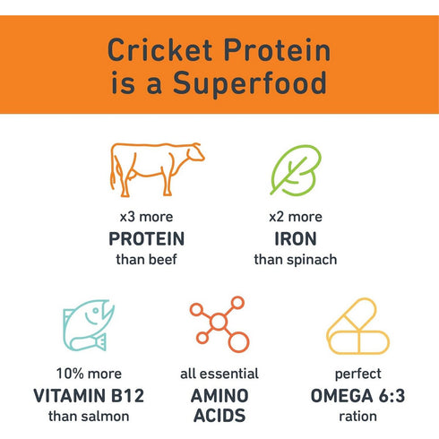 Jiminy's Pumpkin Carrot Soft Dog Treats 6oz - Poudre Pet and Feed Supply