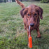 Ngage Bumper Junior Dog Toy 14.5" Orange - Poudre Pet & Feed Supply 2