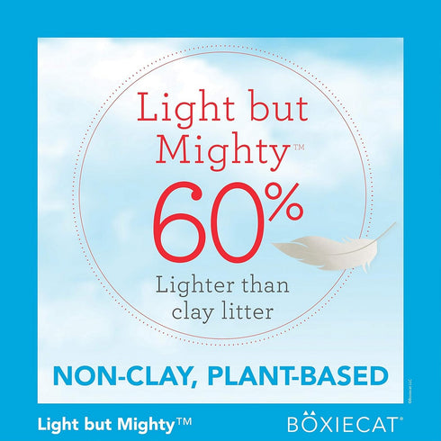 Boxiecat Air Lightweight Scent Free Premium Clumping Litter 11.5lb - Poudre Pet and Feed Supply